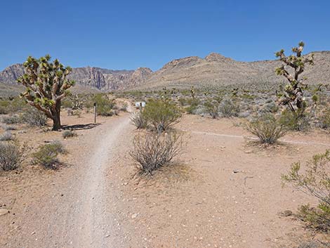 Ridgeline Loop Trail