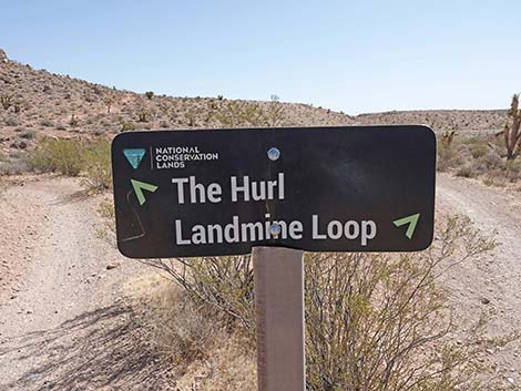 Ridgeline Loop Trail