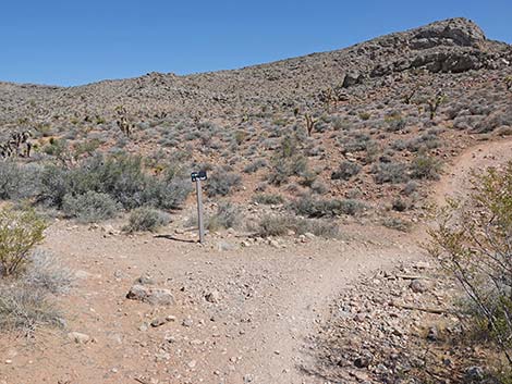 Ridgeline Loop Trail