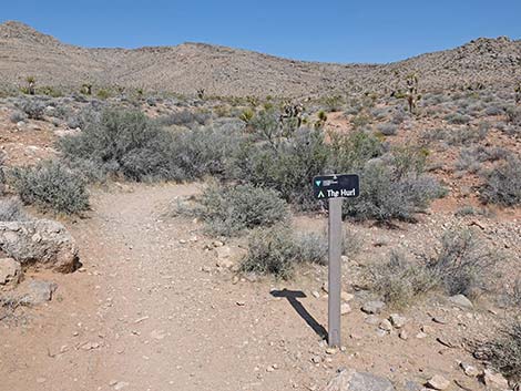 Ridgeline Loop Trail