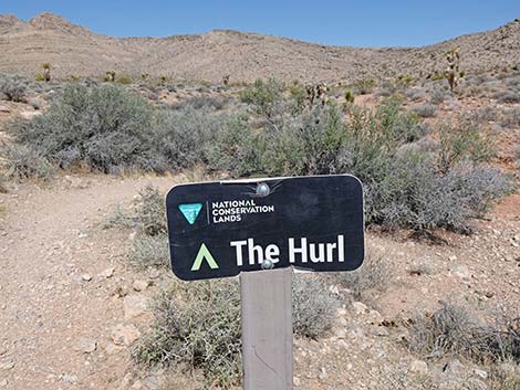 Ridgeline Loop Trail