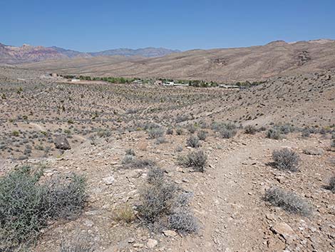 Ridgeline Loop Trail