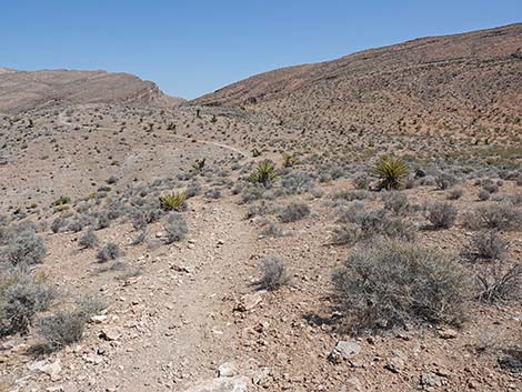 Ridgeline Loop Trail
