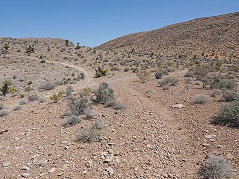 Ridgeline Loop Trail