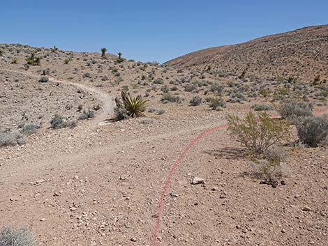 Ridgeline Loop Trail