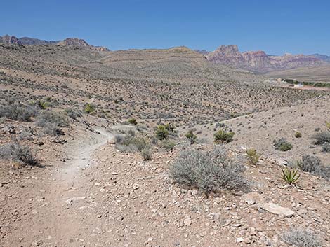 Ridgeline Loop Trail