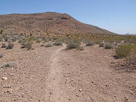 Ridgeline Loop Trail