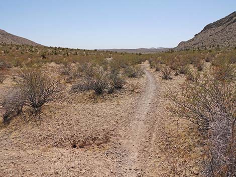 Ridgeline Loop Trail