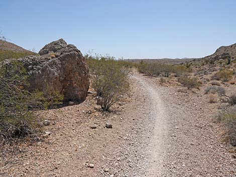 Ridgeline Loop Trail