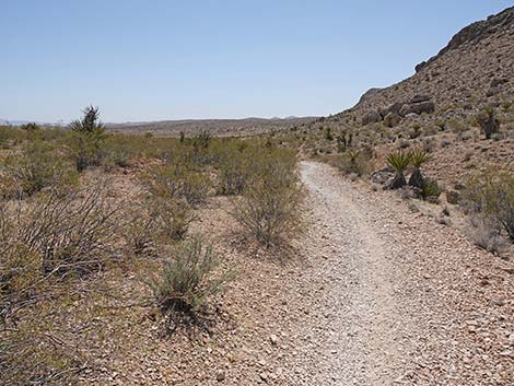 Ridgeline Loop Trail