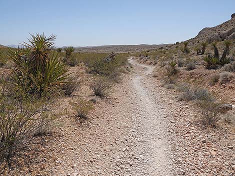 Ridgeline Loop Trail