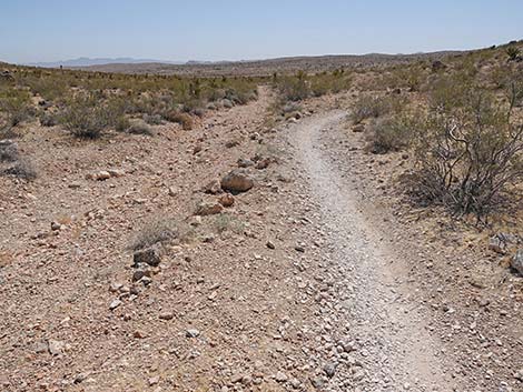 Ridgeline Loop Trail