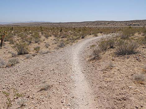 Ridgeline Loop Trail