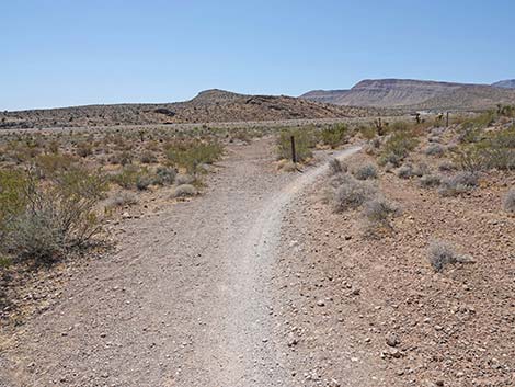 Ridgeline Loop Trail