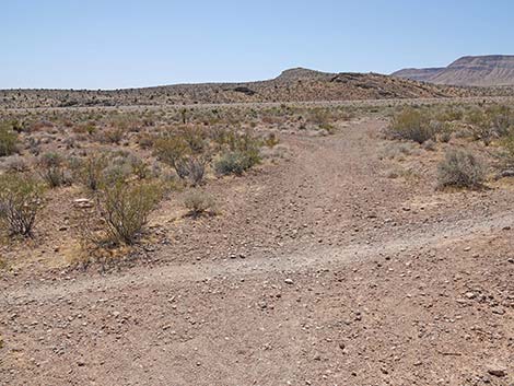 Ridgeline Loop Trail