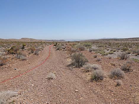 Ridgeline Loop Trail