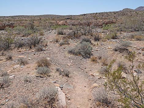 Ridgeline Loop Trail