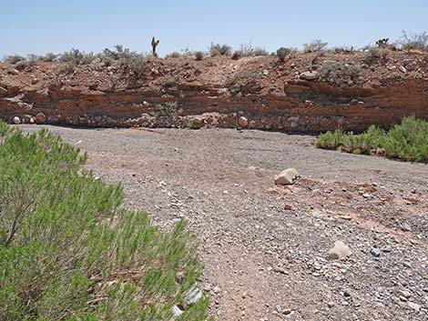 Ridgeline Loop Trail