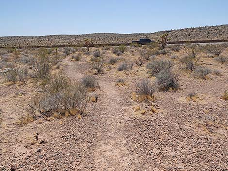 Ridgeline Loop Trail