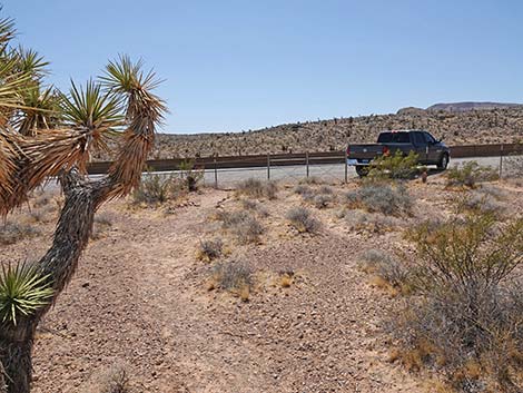 Ridgeline Loop Trail