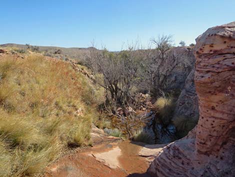 Calico Basin Trail