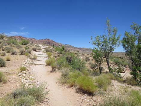 Calico Basin Trail