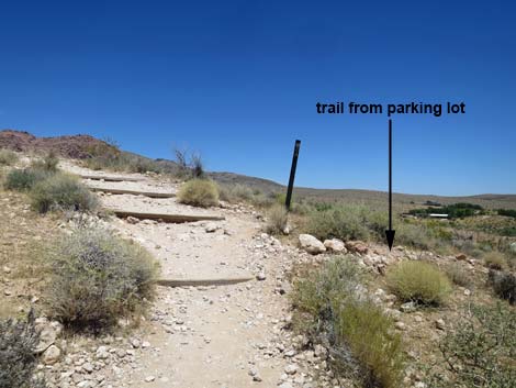 Calico Basin Trail