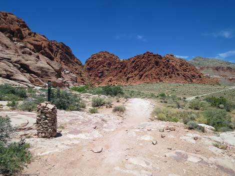 Calico Basin Trail