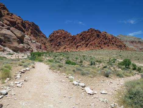 Calico Basin Trail