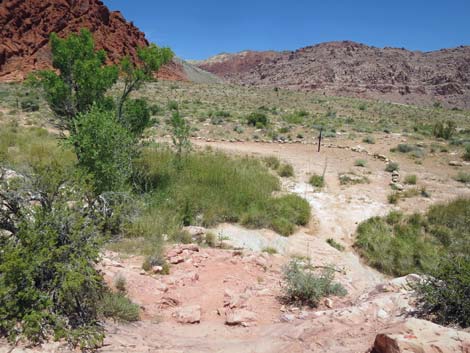 Calico Basin Trail