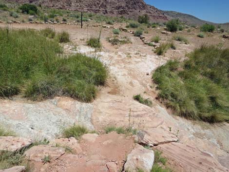 Calico Basin Trail