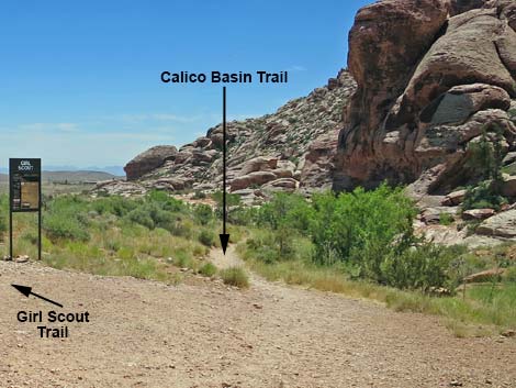 Calico Basin Trail