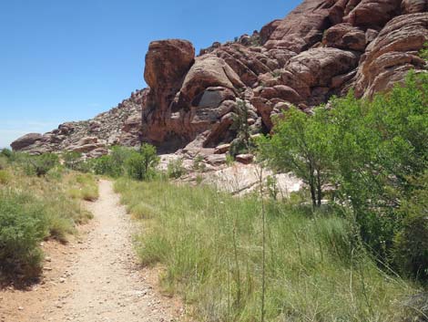 Calico Basin Trail