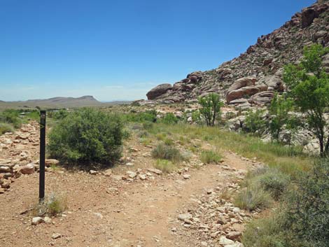 Calico Basin Trail