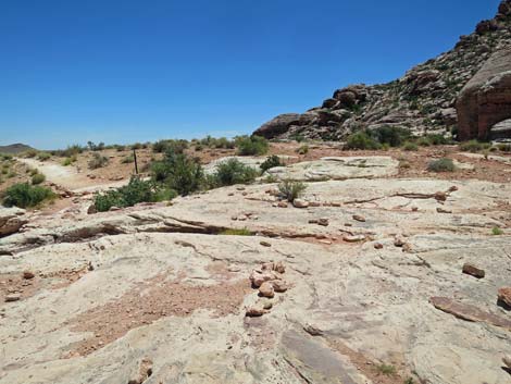 Calico Basin Trail