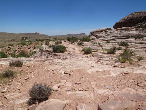 Calico Basin Trail