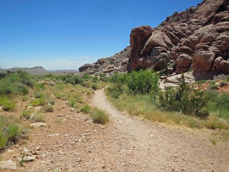 Calico Basin Trail