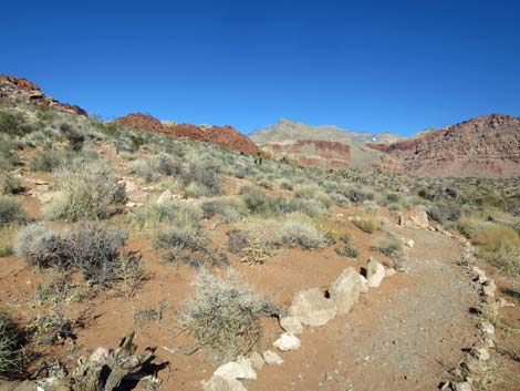 Calico Basin Trail