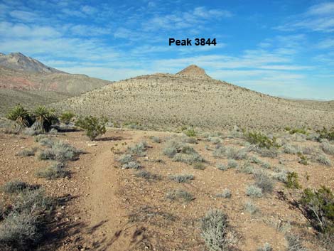 Peak 3844 East Loop