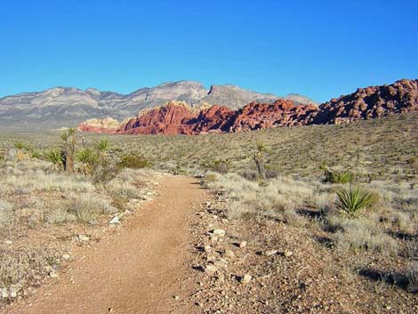 Calico Hills Trail