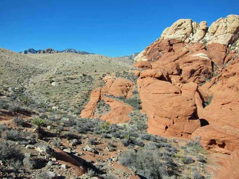 Calico Hills Trail