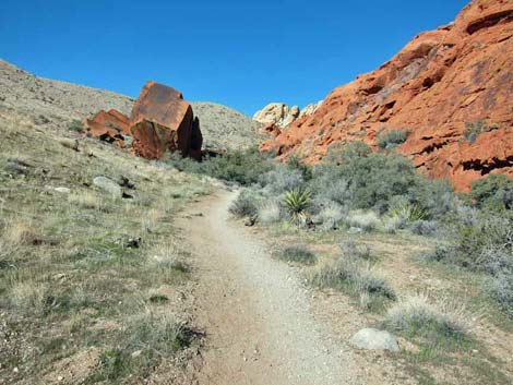 Calico Hills Trail