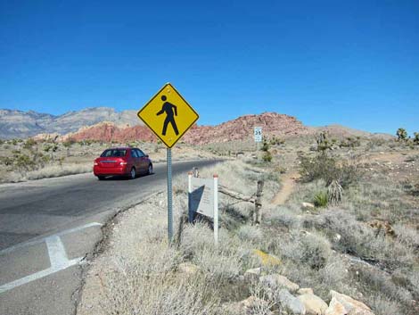 Calico Hills Trail