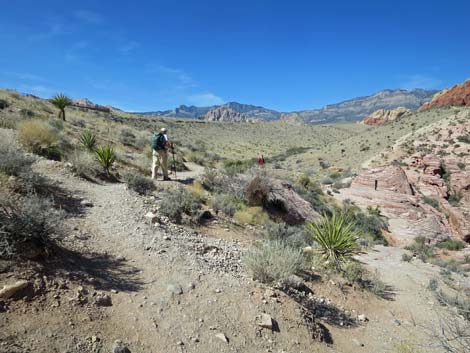 Grand Circle Loop Trail