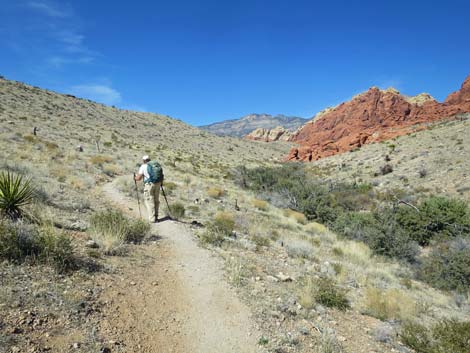 Grand Circle Loop Trail