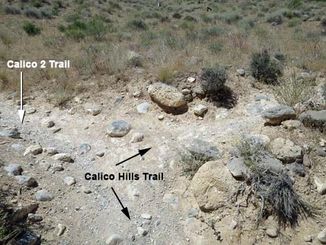 Calico Hills Loop Trail