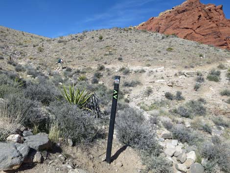 Grand Circle Loop Trail