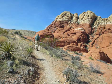 Calico Hills Loop Trail