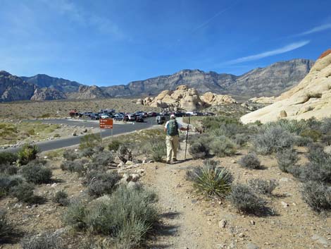 Calico Hills Loop Trail