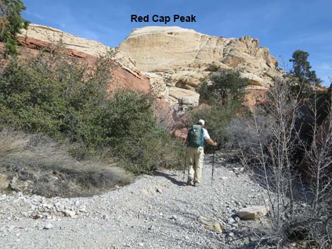 Calico Hills Loop Trail